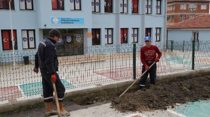 Sapanca Belediyesinden &Ccedil;evre D&uuml;zenlemesi