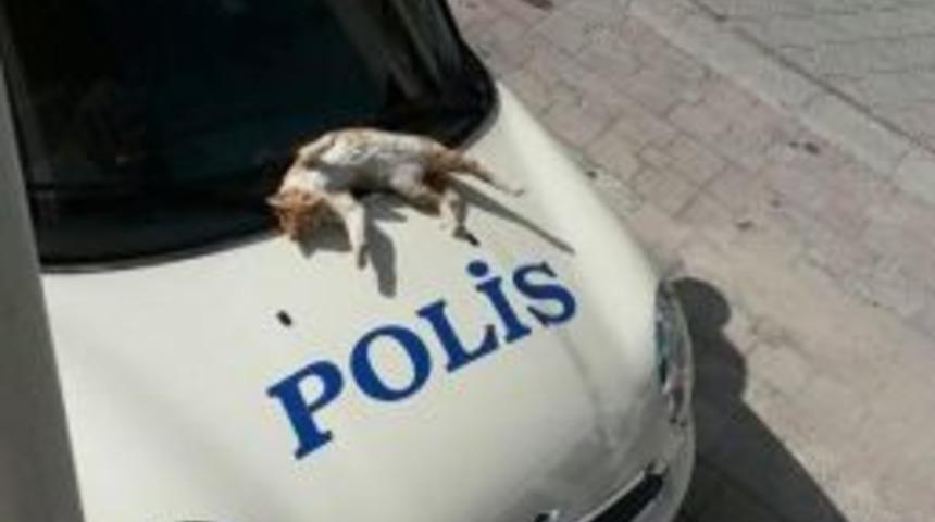 Polis Otosu &Uuml;zerinde G&uuml;neşlendi