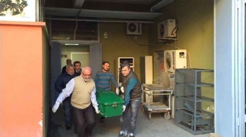 Mersin&rsquo;deki &Ouml;l&uuml;mlerde Domuz Gribi Ş&uuml;phesi