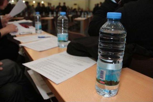 Bir Pet Suda Kıyamet Koptu 2