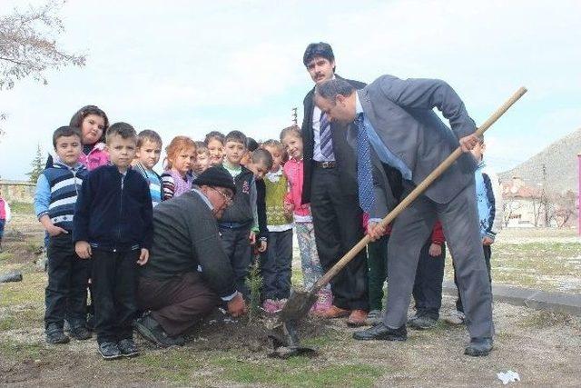 Sivrihisar’da Öğrencilerin Minik Elleri Çam Fidanlarına Uzandı