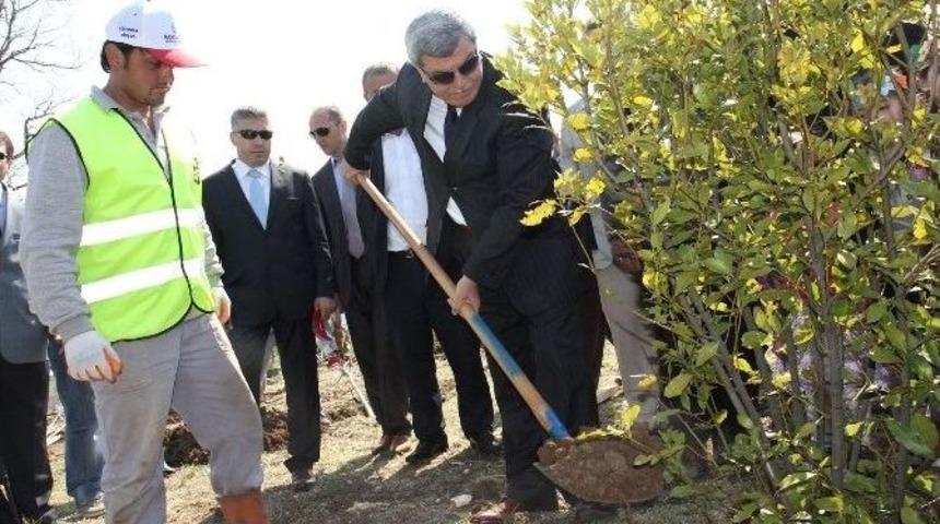 Başkan Karaosmanoğlu, &lsquo;&rsquo;kocaelili Her Şehit İ&ccedil;in Bir Fidan Dikeceğiz&rsquo;&rsquo;