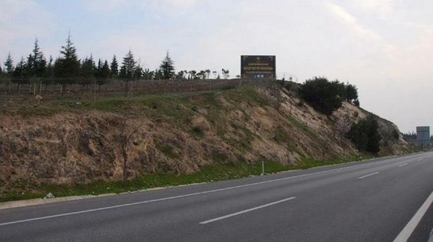 Cumhurbaşkanı Erdoğan Adına Hatıra Ormanı