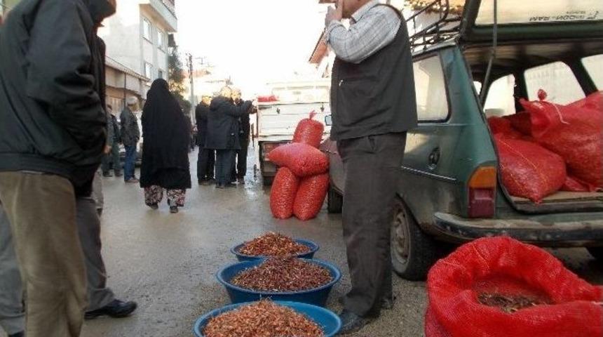 Kuru Soğan Ağlattı, Arpacık Soğanı G&uuml;ld&uuml;rd&uuml;