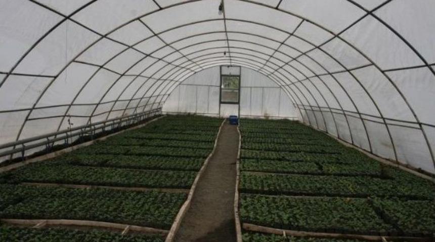 Park Ve Bah&ccedil;eler M&uuml;d&uuml;rl&uuml;ğ&uuml; Bahara Hazır