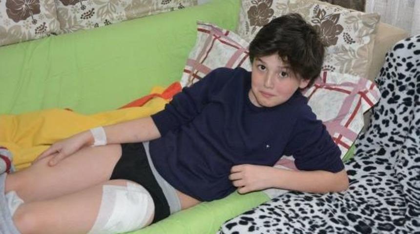 Bursa'da Pitbull Dehşeti