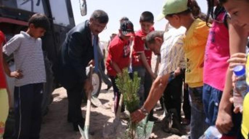 Niğde Belediyesi Ağa&ccedil; Fidanı Dağıtacak