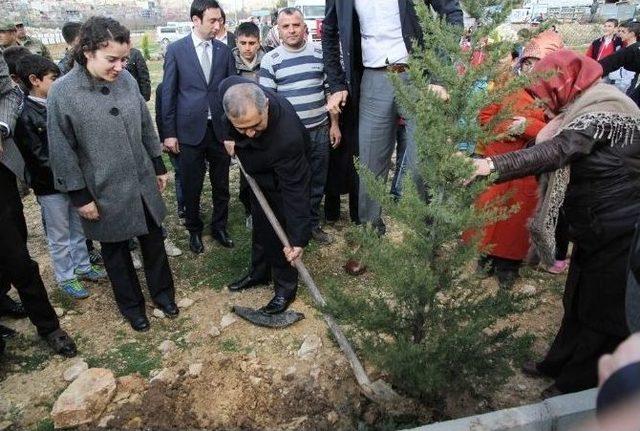 Yeşilli’de Ağaç Dikme Kampanyası