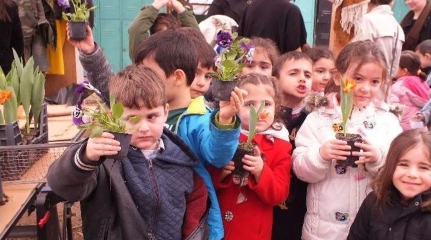 Minik Eller Tohum Ekti