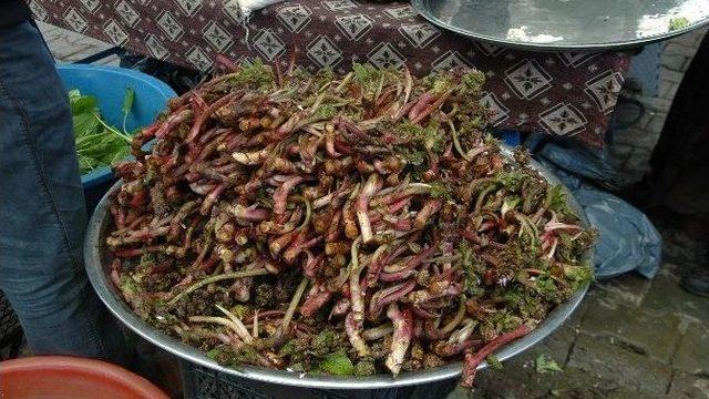 Hodan Otu Köylülerin Geçim Kaynağı Oldu