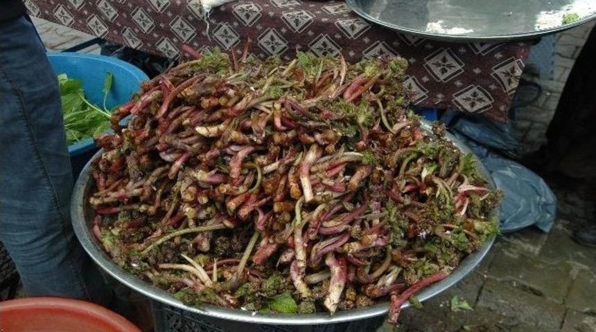 Hodan Otu K&ouml;yl&uuml;lerin Ge&ccedil;im Kaynağı Oldu