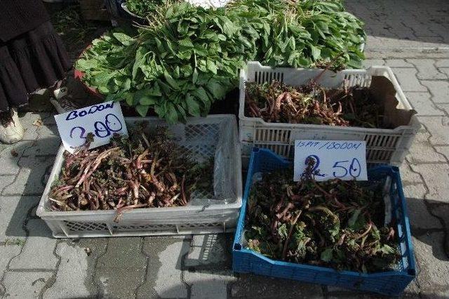 Hodan Otu K&ouml;yl&uuml;lerin Ge&ccedil;im Kaynağı Oldu 3