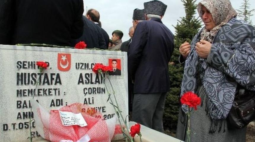 Şehit &Ccedil;ocuklarından Babalarının Mezarına Doğum G&uuml;n&uuml; &Ccedil;i&ccedil;eği