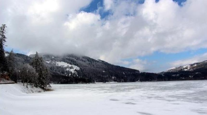 Abant Beyaza B&uuml;r&uuml;nd&uuml;