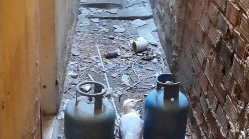 (özel Haber) Bu Da Martı Kurtarma Operasyonu