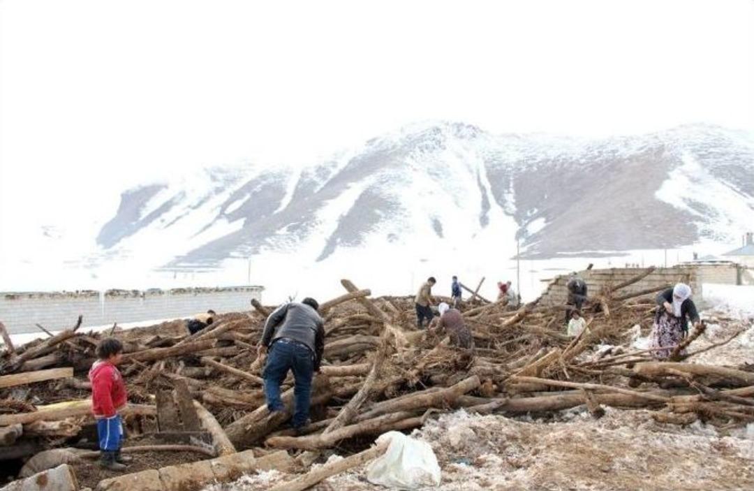 Ahır &Ccedil;&ouml;kt&uuml; 60 Hayvan Telef Oldu