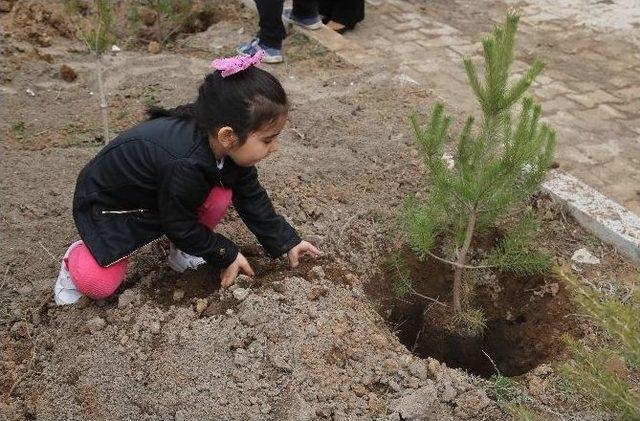 Çanakkale Zaferi’nin 100. Yılında, Anaokulu Öğrencilerinden Anlamlı Etkinlik