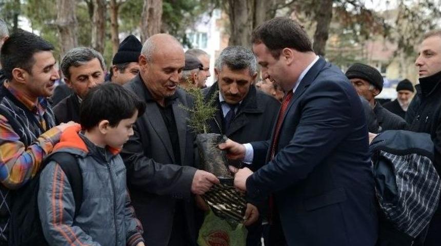 &Ccedil;anakkale&rsquo;de Şehit D&uuml;şen Erbaalı Askerlerin İsimleri Ağa&ccedil;larda Yaşatılacak