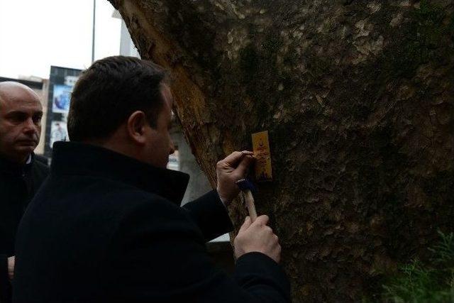 Çanakkale’de Şehit Düşen Erbaalı Askerlerin İsimleri Ağaçlarda Yaşatılacak