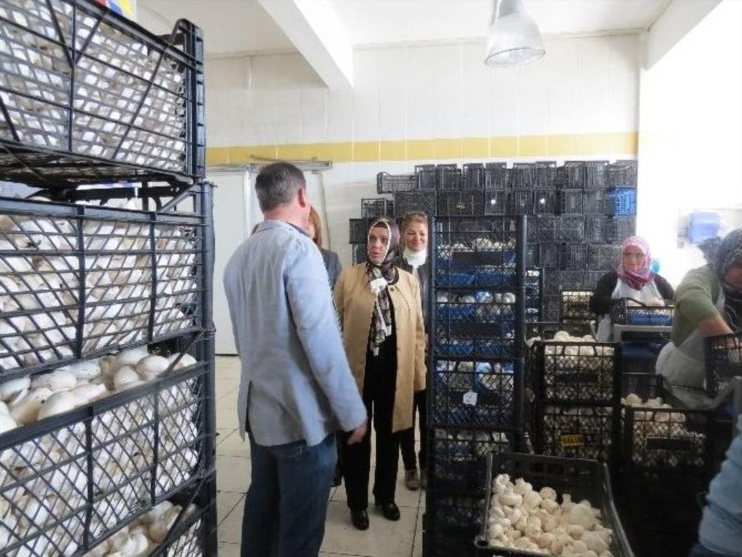 Vali Muammer T&uuml;rker&rsquo;in Eşi Filiz T&uuml;rker, Korkuteli&rsquo;ni Ziyaret Etti