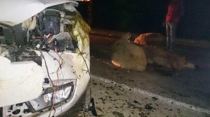 Şanlıurfa&rsquo;da 30 Hayvan Telef Oldu