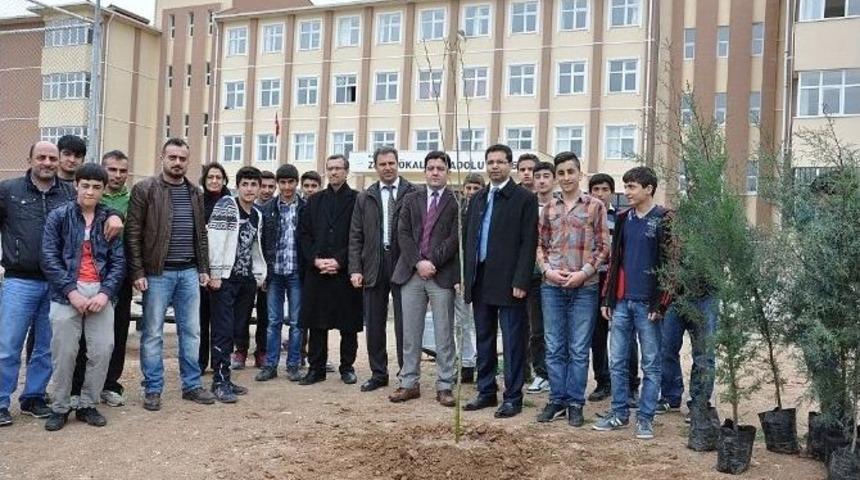 Milli Eğitim Müdürü Çelik Öğrencilerle Fidan Dikti