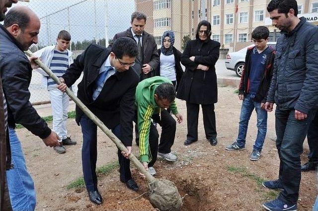 Milli Eğitim Müdürü Çelik Öğrencilerle Fidan Dikti