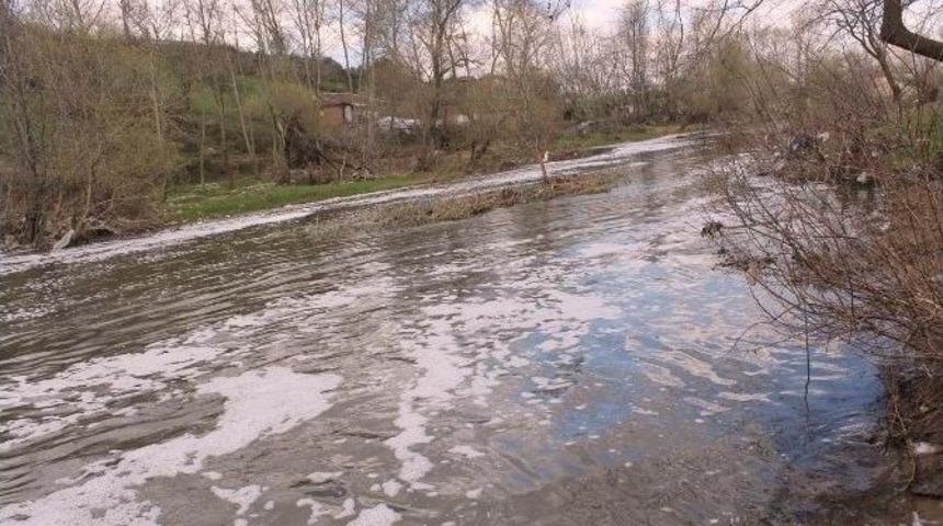 Manyas&rsquo;taki Dereden K&ouml;p&uuml;k Ve Kızıl Su Akıyor