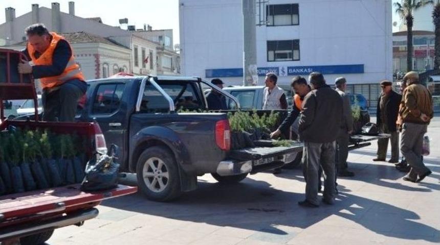 Ayvalık&rsquo;ta Binlerce Fidan Toprakla Buluşturulması İ&ccedil;in Vatandaşlara Dağıtılıyor