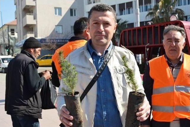 Ayvalık’ta Binlerce Fidan Toprakla Buluşturulması İçin Vatandaşlara Dağıtılıyor