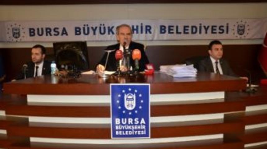 Timsah Arena Yaz Aylarında Açılacak