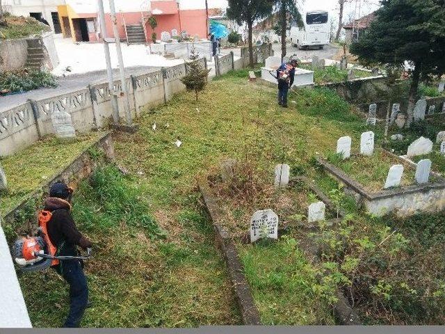 Trabzon Büyükşehir Tüm İlçelerdeki Mezarlıkların Bakım Ve Onarımını Yapıyor