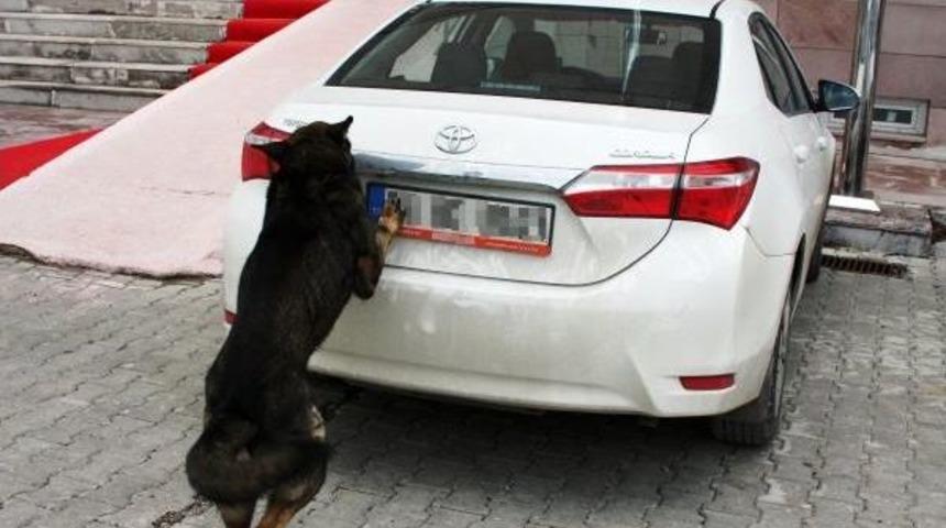 Yozgat'ta 58 Kilo Esrar Ele Ge&ccedil;irildi