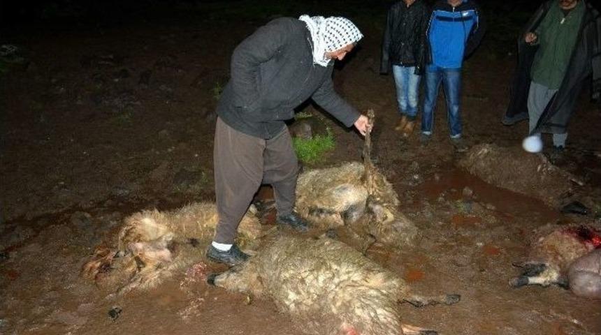 Minib&uuml;s S&uuml;r&uuml;ye Daldı, 40 Koyun Telef Oldu