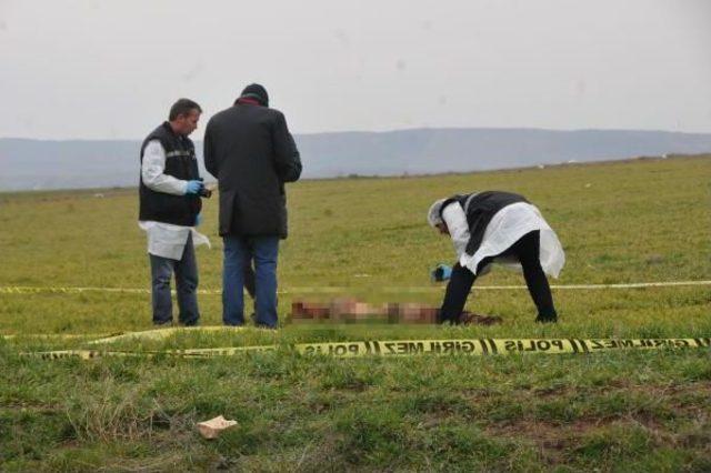 Eskişehir Hayvanları Koruma Derneği Başkanı Duygu Kurt: Hiçbir Sokak Köpeğinin Bunu Yapabileceğini Düşünemiyoruz