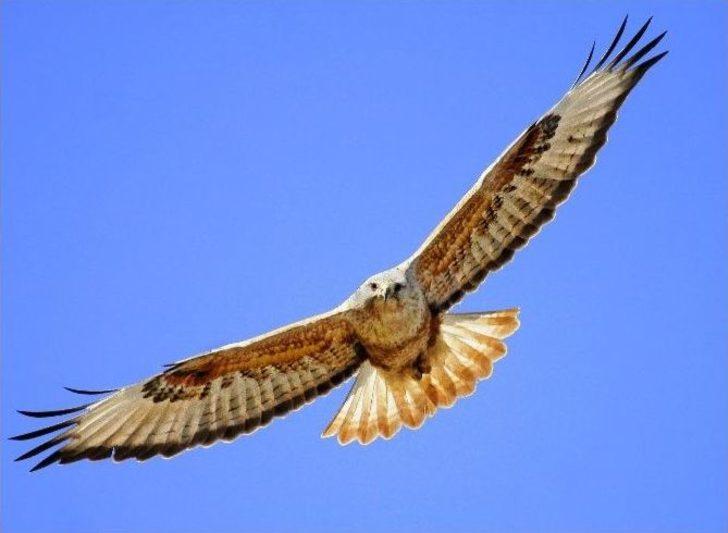 (özel Haber) Bir Cennet Yok Oluyor! G1