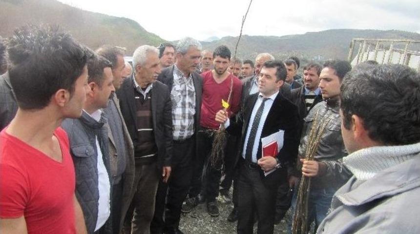 Sason&rsquo;da 10 Bin Ceviz Fidanı Dağıtıldı