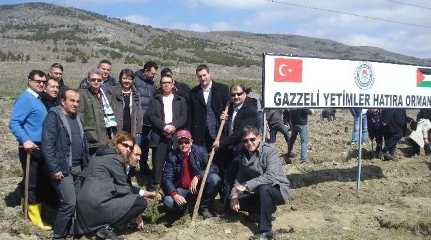 Prof. Dr. Arzu &Ccedil;i&ccedil;ek Ağa&ccedil; Dikme Şenliğine Katıldı