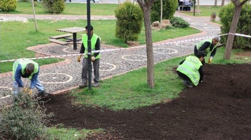 Haliliye&rsquo;deki Parklar Yemyeşil Olacak