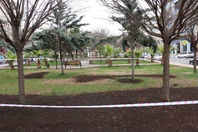 Haliliye&rsquo;deki Parklar Yemyeşil Olacak 1