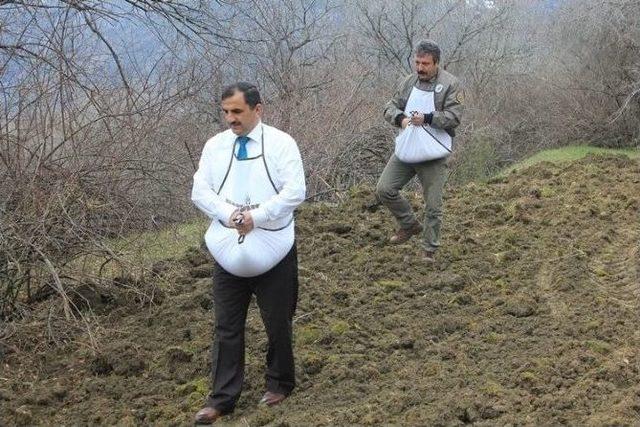 Gümüşhane’de Yaban Hayatı İçin Nadastaki Tarlalar Ekiliyor