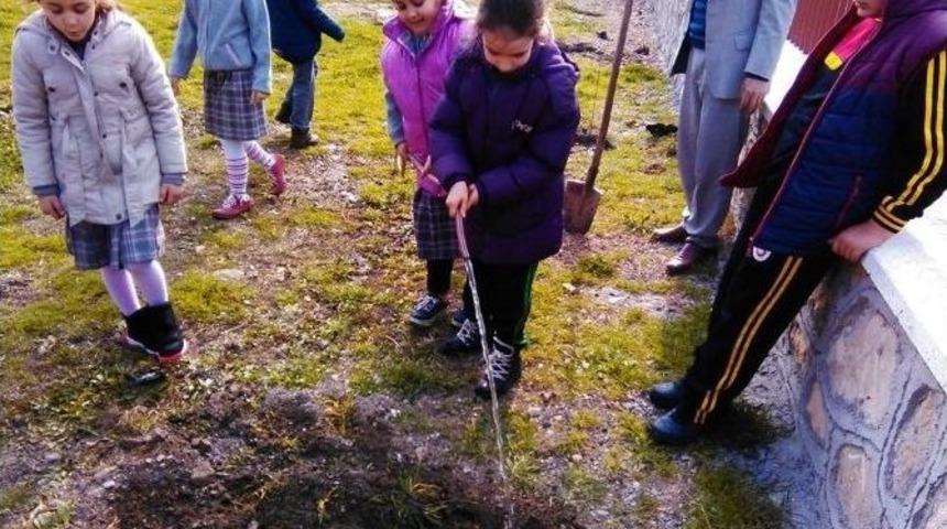 Minik Eller Yarınlar İ&ccedil;in Ağa&ccedil; Dikiyor