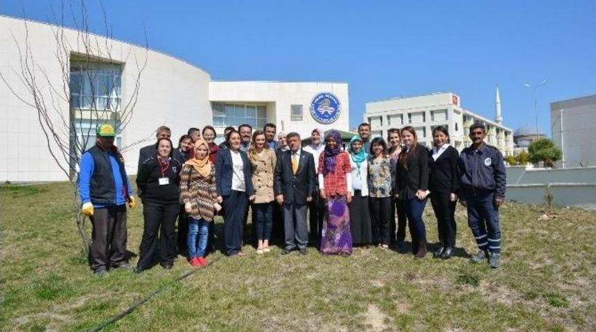 &Ouml;ğrenciler İle Ağa&ccedil; Dikimi Ger&ccedil;ekleştirildi