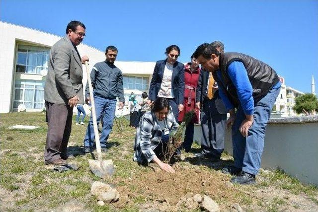 Öğrenciler İle Ağaç Dikimi Gerçekleştirildi