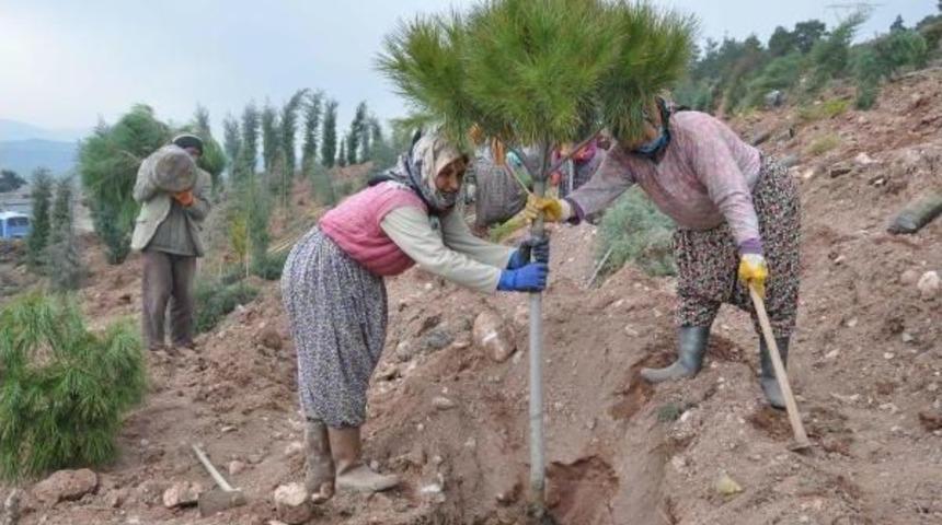 Cumhurbaşkanı Adına Hatıra Ormanı