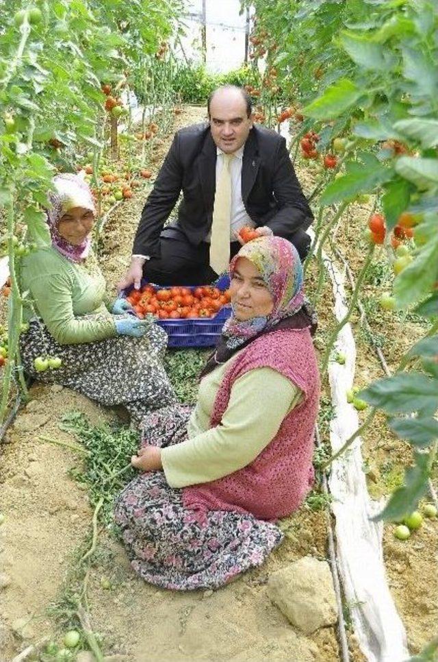 Ak Parti Aday Adayı Metin, Ziyaret Ve Toplantılarına Devam Ediyor