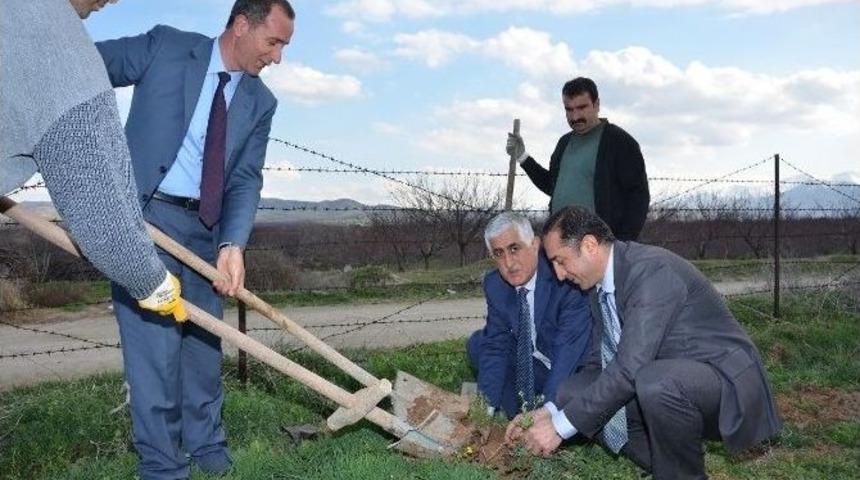 Battalgazi Belediyesi 100 Bin Fidanı Toprakla Buluşturacak