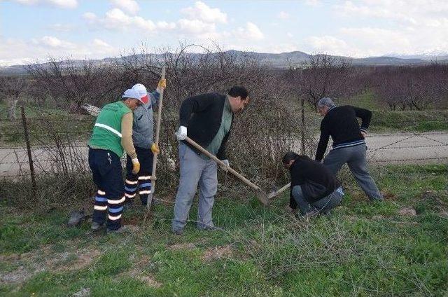 Battalgazi Belediyesi 100 Bin Fidanı Toprakla Buluşturacak