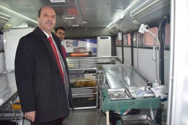 Şuhut&rsquo;ta Sokak Hayvanları Rehabilite Edilmeye Başlandı 1