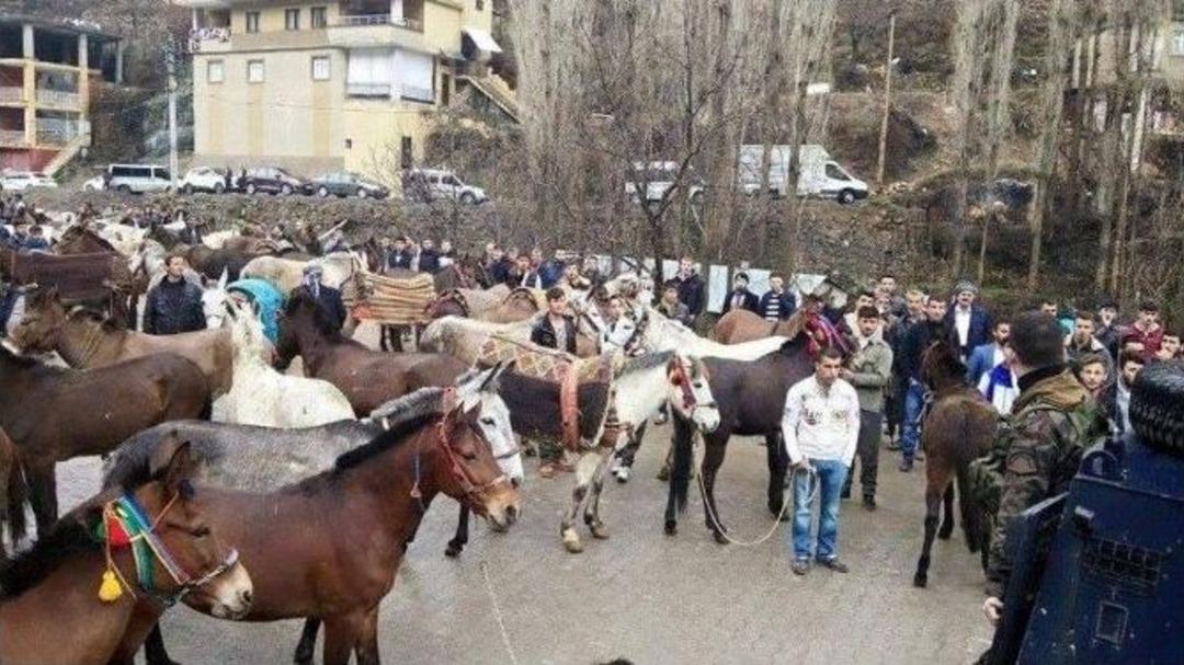 Uludereliler Katırlarla Kaymakamlığa Y&uuml;r&uuml;d&uuml;